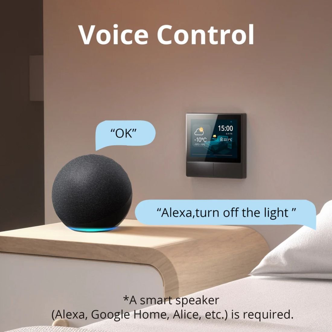 work with alexa