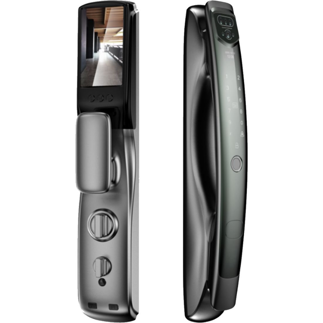 LEZN - 2398 - 1100 x 1100